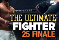 The Ultimate Fighter25 Finale