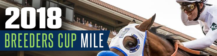 Multitude of Breeders Cup Stakes Betting Mile Contenders
