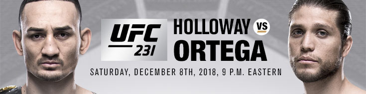 UFC 231