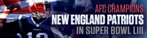 AFC Champion New England Patriots in Super Bowl LIII