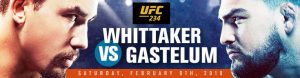 UFC 234 Whittaker vs. Gastelum from Australia