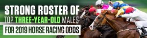 Strong Three-Year-Old Males for 2019 Horse Racing Odds