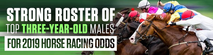 Strong Three-Year-Old Males for 2019 Horse Racing Odds