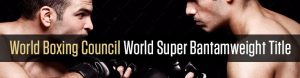 World Boxing Council World Super Bantamweight