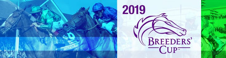 2019 Breeders Cup Betting Odds