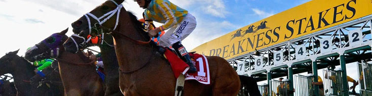 2020 Preakness Stakes