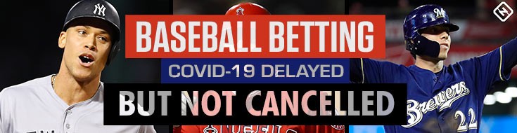 Baseball has been Delayed but Not Cancelled