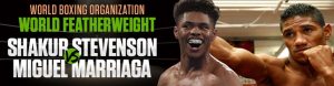 World Boxing Organization World Featherweight Title Shakur Stevenson vs. Miguel Marriaga Betting odds