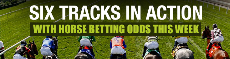 Six Tracks in Action with Horse Betting Odds This Week