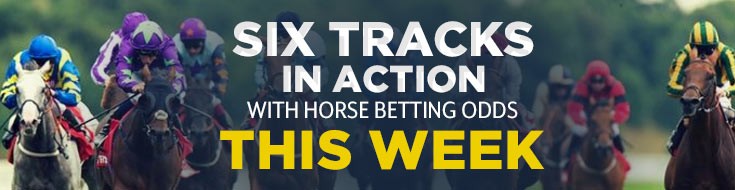 Six Tracks in Action with Horse Betting Odds This Week