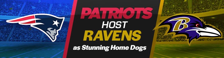 Patriots Host Ravens as Stunning Home Dogs