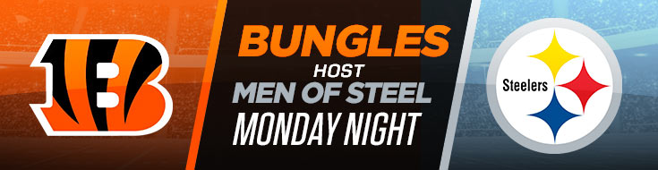 Pittsburgh Steelers vs. Cincinnati Bengals NFL Week 15 Monday Night