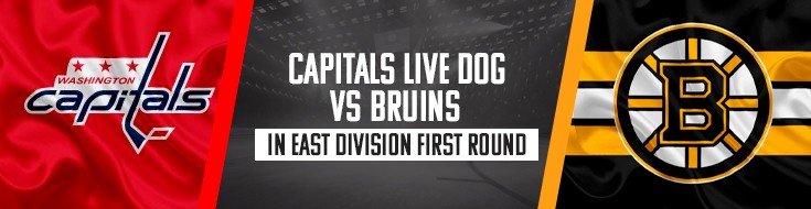 Capitals Live Dog vs. Bruins in East Division First Round