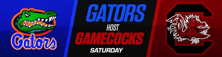 South Carolina Gamecocks vs. Florida Gators NCAAF Odds & Picks (11-12-2022)