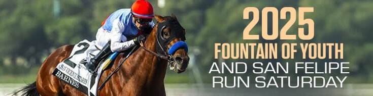 2025 Fountain of Youth and San Felipe Run Saturday