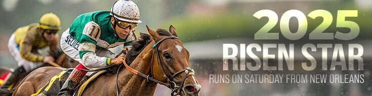 2025 Risen Star Horse Racing Betting Predictions, Lines & Picks (02:15:2025)