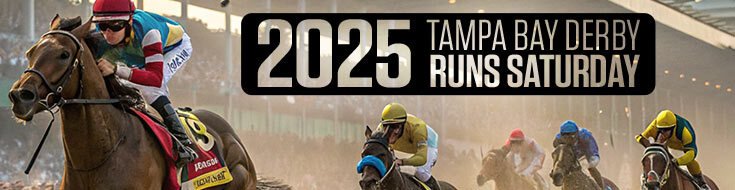 2025 Tampa Bay Derby Horse Racing Betting Analysis, Odds & Preview (03-08-2025)