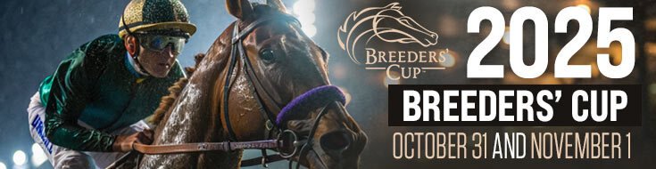 2025 Breeders’ Cup Classic Horse Racing Betting Odds & Picks (11/01/2025)