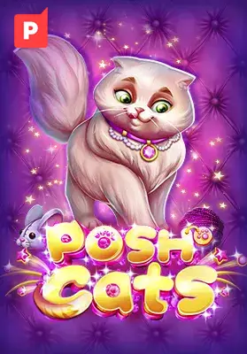 Play Posh Cats Casino Game