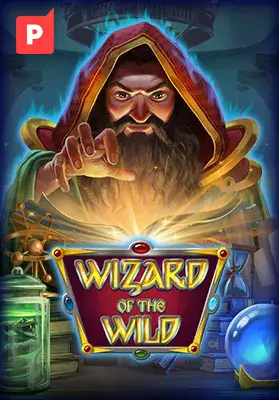 Play Wizard of the Wild Casino Game