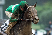 Exaggerator to win the 2016 Belmont Stakes