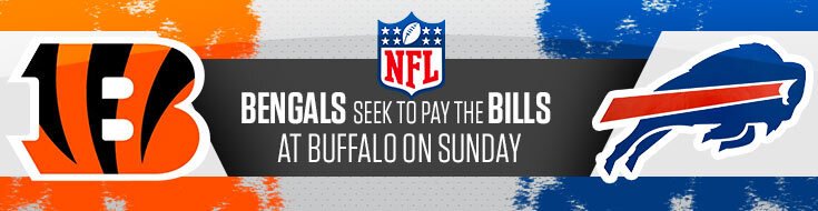 nfl divisional round betting predictions