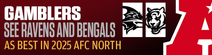 Gamblers See Ravens and Bengals as Best in 2025 AFC North